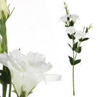 Eustoma - umělá řezaná květina, bílá KT7909 WT, sada 4 ks